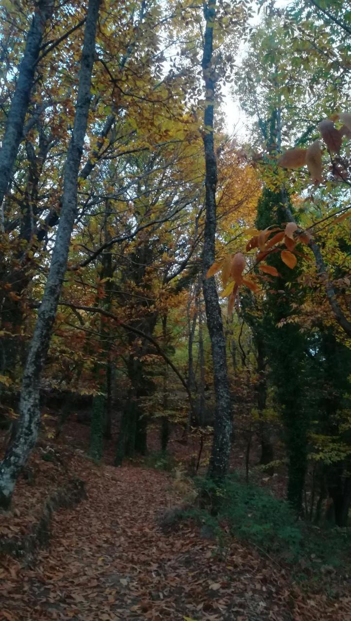 Séjour à la campagne La Lancha