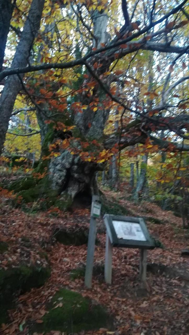 La Lancha El Torno (Extremadura)