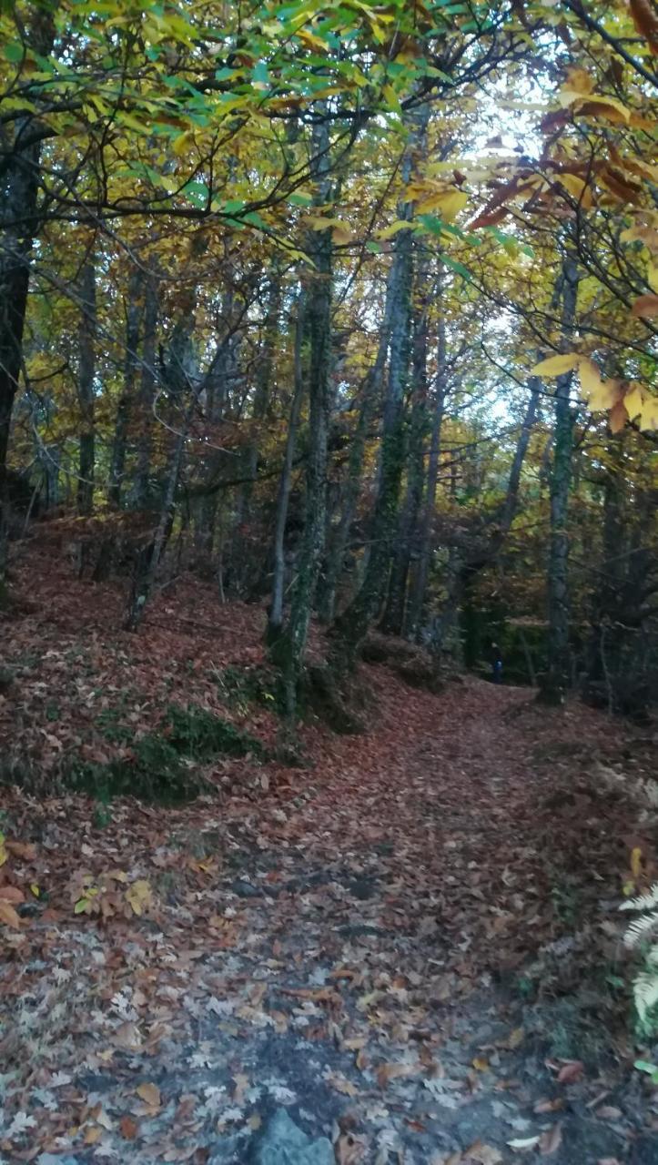La Lancha Séjour à la campagne El Torno (Extremadura)