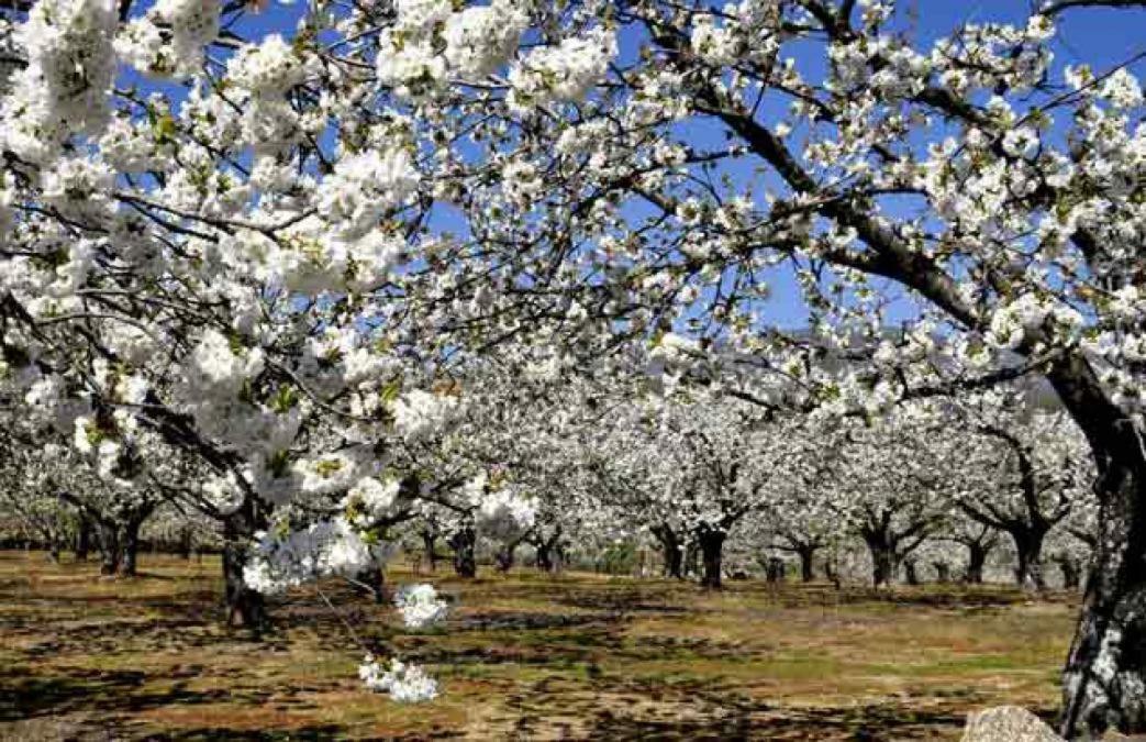 Séjour à la campagne La Lancha El Torno (Extremadura)